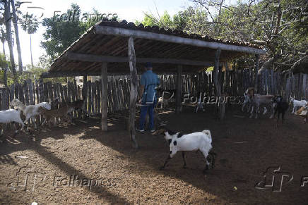 Agropecuaria