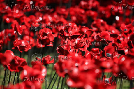 View shows installation of 30,000 ceramic poppies commemorating the 80th anniversary of Victory in Europe (VE) Day in London