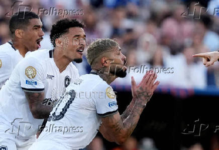 FIFA Club World Cup - Group B - Paris St Germain v Botafogo