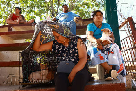 Mass sterilization campaign targets stray animal overpopulation in Ciudad Juarez