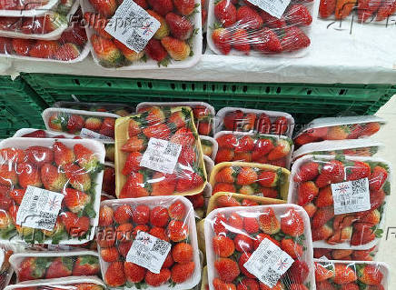 Preço do Morango dispara sos supermercados