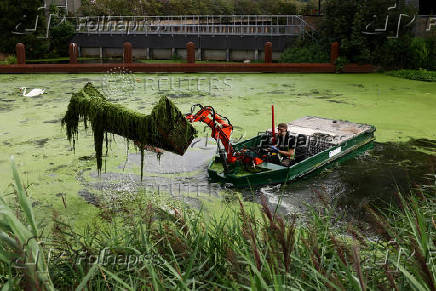 River Lea cleanup, in London