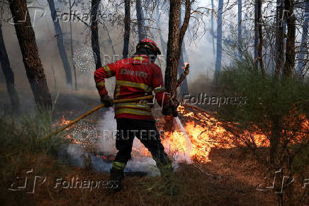 Wildfire in Portugal