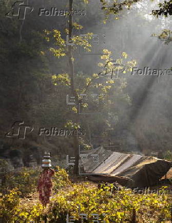 The Last Nomads of Nepal: A Vanishing Culture in the Forests of Surkhet