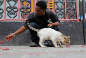Somali man defies taboo to care for Mogadishu's stray dogs and cats