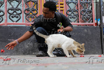 Somali man defies taboo to care for Mogadishu's stray dogs and cats