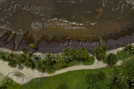 Beach is covered in sargassum seaweed washed ashore during its season in Puerto Rico