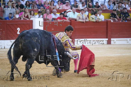 Corrida de Hogueras en Alicante
