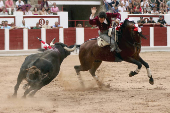 Toros en Zamora