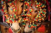 Feria de Abril de Sevilla