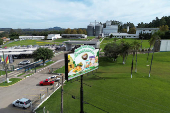 Bird flu in top chicken exporter Brazil triggers trade bans