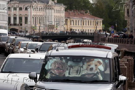 Daily Life in St. Petersburg