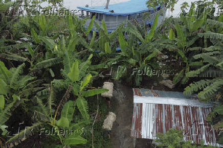 AMAZONAS, CHEIA DO RIO SOLIMOES