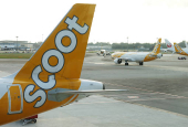 A view of Scoot planes at Changi Airport in Singapore