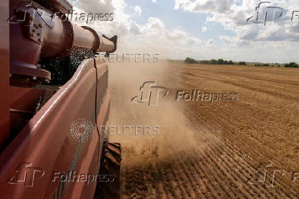 Farmers in U.S. heartland, where ties to wheat run deep, question crop's future
