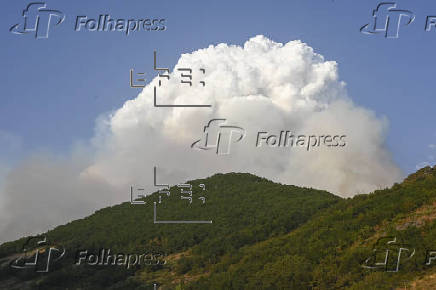 Incendio de Barniedo de la Reina (León)