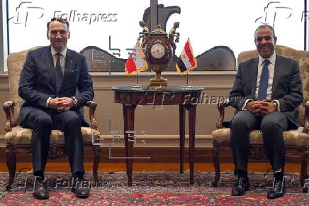 Polish Foreign Minister Radoslaw Sikorski visits Egypt