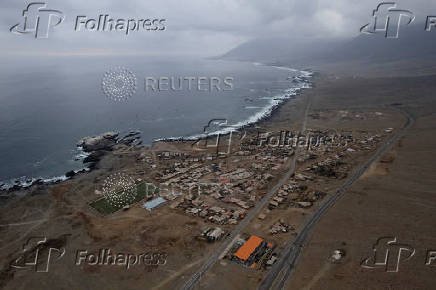 Chile's submarine forests that provide food, jobs and oxygen