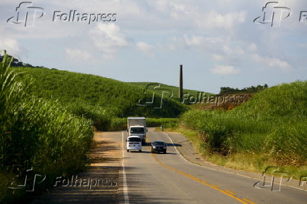 Vista de plantação de cana-de-açúcar