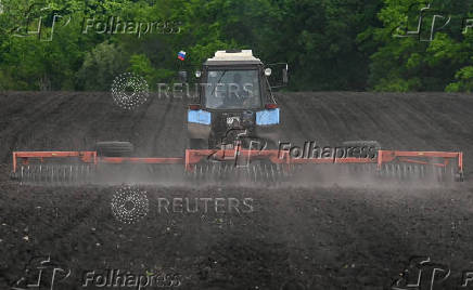 Farmers sow sunflower in Rostov region