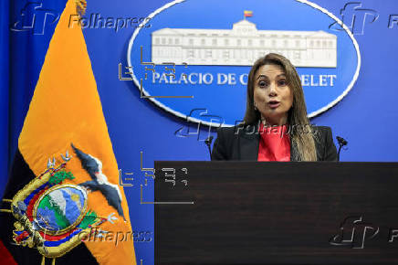 El Gobierno de Ecuador anuncia que el servicio de energía eléctrica está garantizado en el país