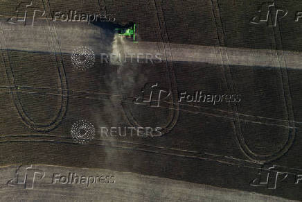Soybean harvest in Rio Grande do Sul state, Brazil