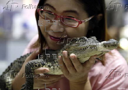 Pet Expo Thailand 2025 in Bangkok