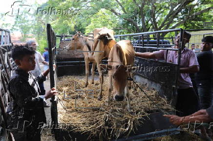 Eid al-Adha preparations in Aceh