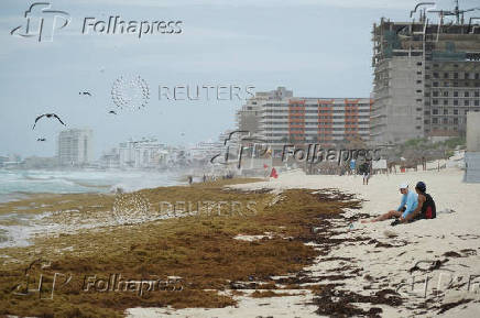 Sargassum seaweed season in Cancun