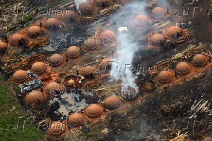 Illegal loggers are key players in carbon credit schemes in Brazil