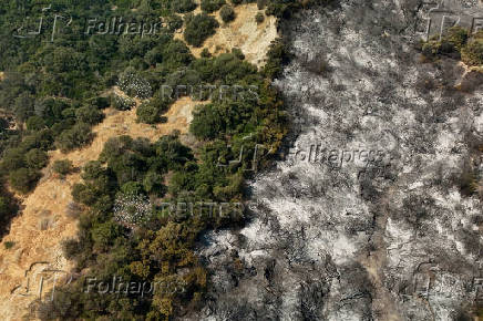 Wildfire burns houses, factories forcing evacuations near Patras