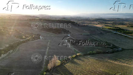 Vines grow near Macan vinyard in Samaniego in Rioja region