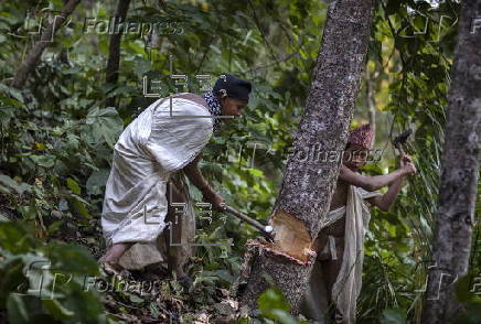 The Last Nomads of Nepal: A Vanishing Culture in the Forests of Surkhet
