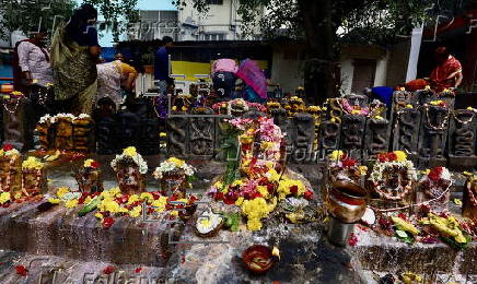 Nag Panchami Hindu festival to honor and worship serpent deities