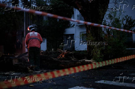 Árvores caídas destroem carros em Perdizes- SP