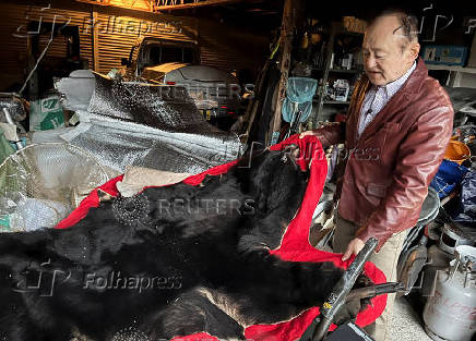 Keiji Minatoya who was attacked by a black bear in front of the garage in his backyard two years before, shows the pelt of a bear in Kitaakita