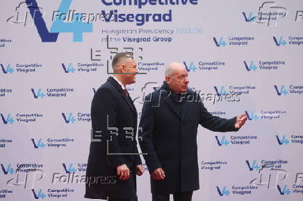 Visegrad Group Head of States Summit in Hungary