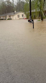Trees and houses are partially submerged in Hopkinsville, Kentucky