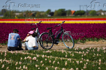 People sit next to their bikes in a tulip field in Lisse
