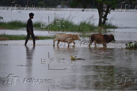 At least 25 people killed across the Northeast India following days of monsoon rains