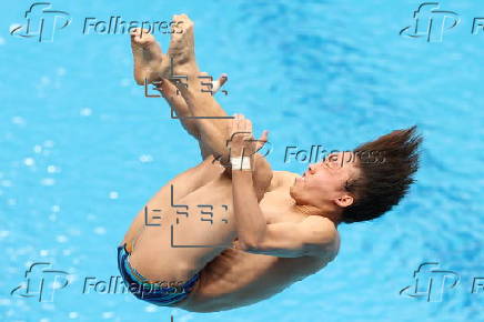 World Aquatics Championships Singapore 2025 - Day 17