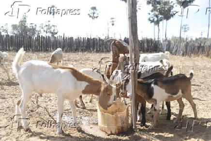 Agropecuaria