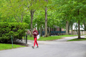 Views of Harvard University