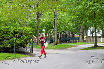Views of Harvard University