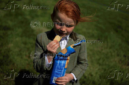 Agricultural show, in Athenry