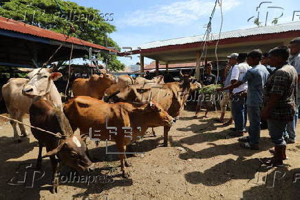 Eid al-Adha preparations in Aceh