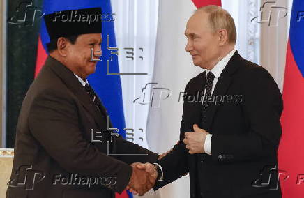 Russian President Putin meets Indonesian President Subianto in St. Petersburg