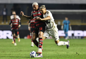Brasileiro Championship - Santos v Flamengo