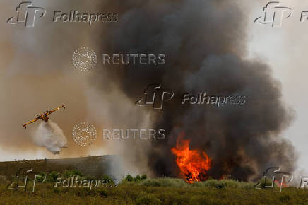 Wildfire on the outskirts of Abejera de Tabara
