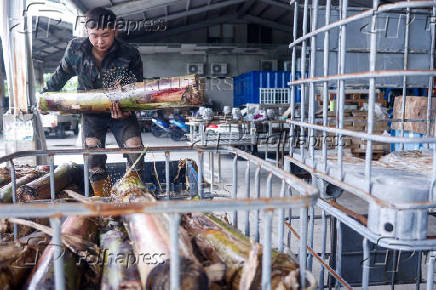 A worker loads banana pseudostems, the middle section of the plant, to be processed into materials for fabric